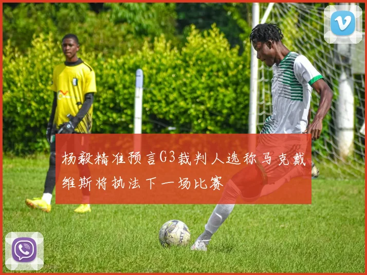 杨毅精准预言G3裁判人选称马克戴维斯将执法下一场比赛