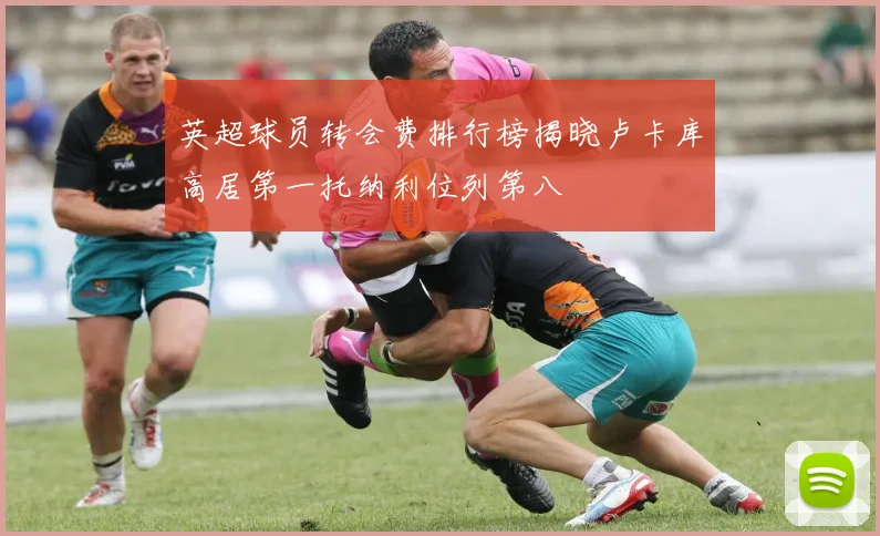 英超球员转会费排行榜揭晓卢卡库高居第一托纳利位列第八